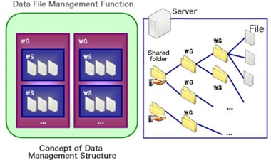 Data File Management Function